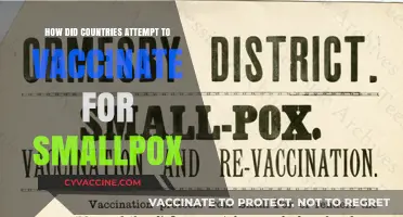Global Strategies: How Nations Tackled Smallpox Vaccination Campaigns