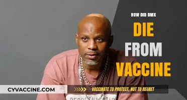 DMX's Tragic Death: Unraveling Vaccine-Related Speculations and Facts
