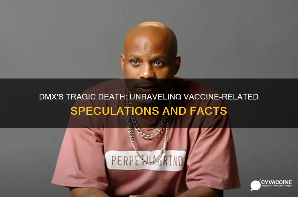 how did dmx die from vaccine