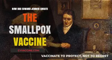 Edward Jenner's Revolutionary Discovery: The Creation of the Smallpox Vaccine