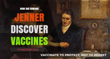 Edward Jenner's Revolutionary Discovery: Unveiling the Origins of Vaccines
