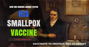 Edward Jenner's Bold Experiment: Testing the First Smallpox Vaccine