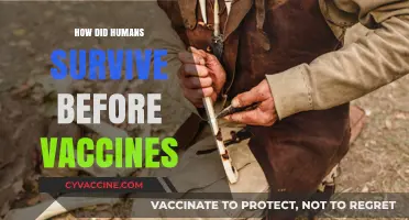 Surviving Without Vaccines: Ancient Human Resilience and Immunity Strategies