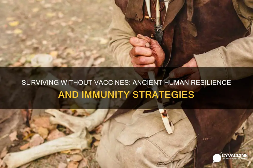 how did humans survive before vaccines