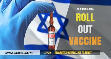 Israel's Rapid Vaccine Rollout: Strategies, Successes, and Global Lessons