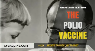 Jonas Salk's Breakthrough: The Creation of the Polio Vaccine