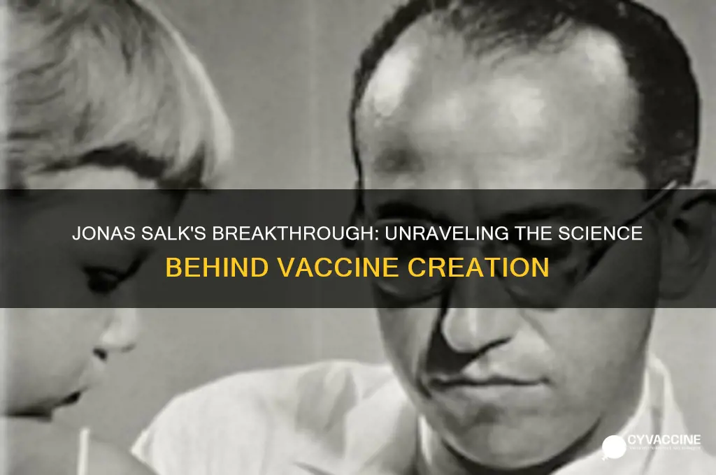 how did jonas salk figure out how to create vaccines