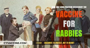 Louis Pasteur's Groundbreaking Discovery: The Rabies Vaccine Revolution
