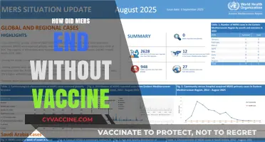 How MERS Disappeared: Factors That Ended the Outbreak Without a Vaccine