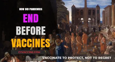 Ending Pandemics Without Vaccines: Historical Strategies and Their Impact