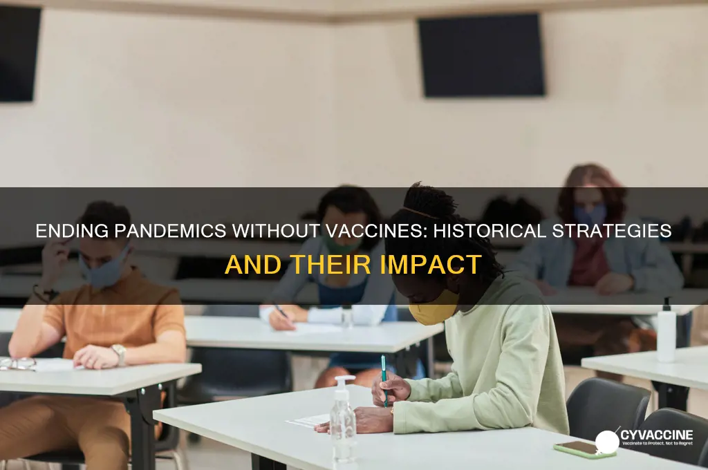 how did pandemics end before vaccines