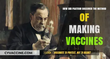 Pasteur's Breakthrough: Unveiling the Discovery of Vaccine Creation