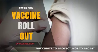 The Polio Vaccine Rollout: A Global Health Revolution Unfolds