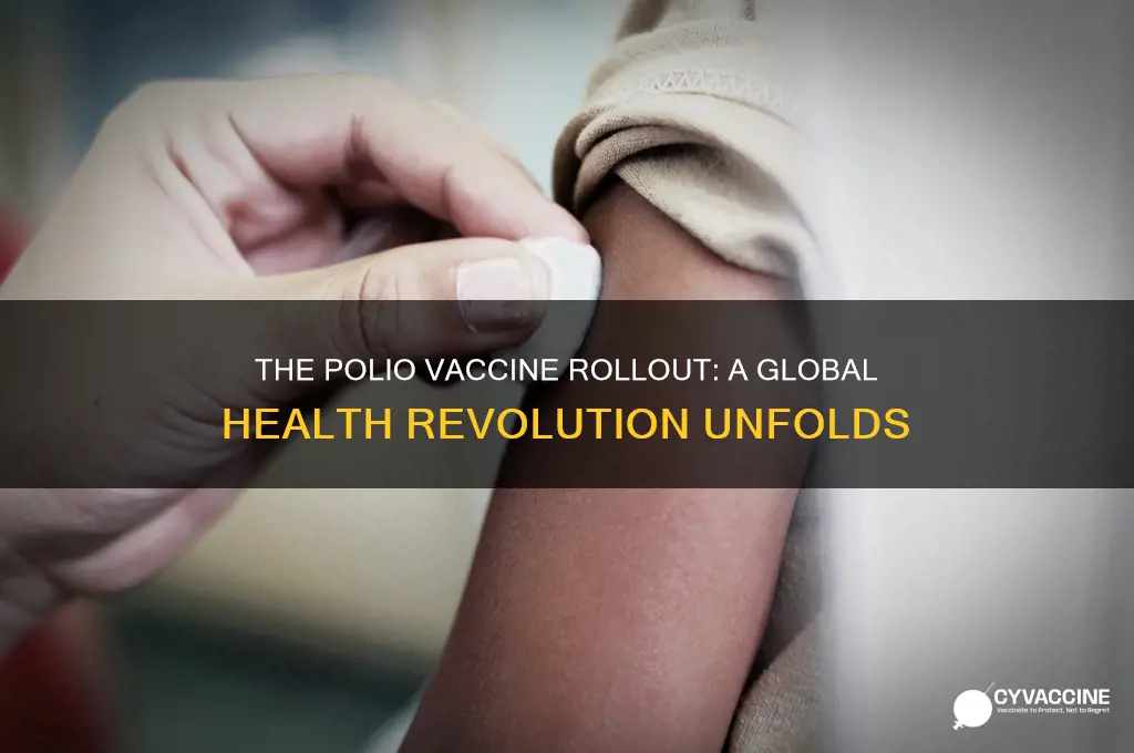 how did polio vaccine roll out