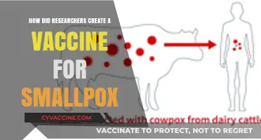 Unraveling the Scientific Journey: Creating the Smallpox Vaccine Breakthrough