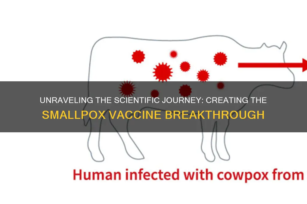 how did researchers create a vaccine for smallpox