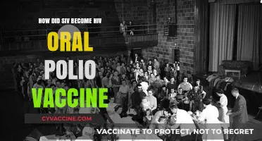 Did the Oral Polio Vaccine Accidentally Unleash HIV/AIDS?