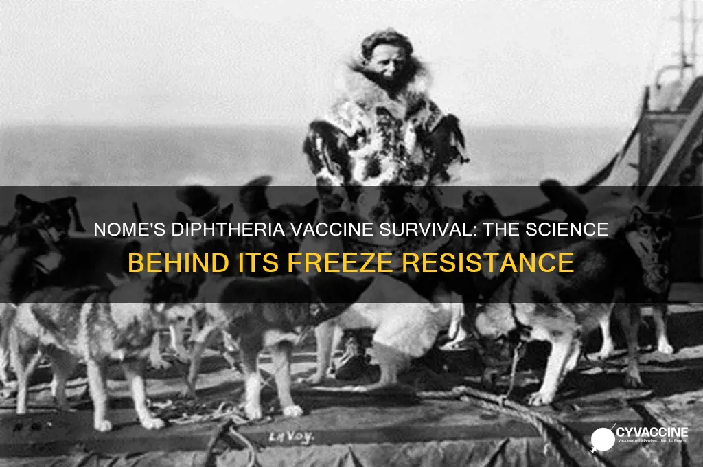 how did the nome diptheria vaccine not freeze