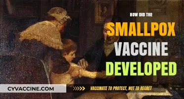 The Evolution of the Smallpox Vaccine: A Historical Breakthrough