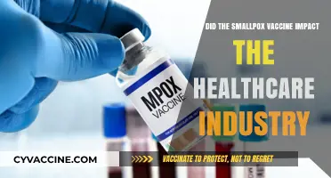 Smallpox Vaccine Revolutionized Healthcare: A Historical Impact Analysis