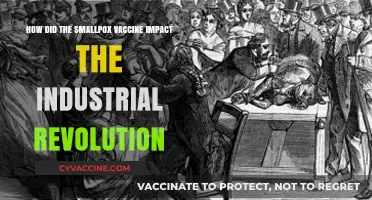 Smallpox Vaccine's Role in Shaping the Industrial Revolution's Success