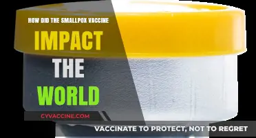 Smallpox Vaccine: A Global Turning Point in Health History
