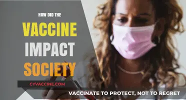 Vaccine's Societal Impact: Transforming Health, Economy, and Global Unity