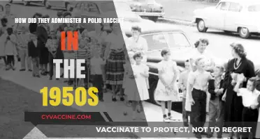Polio Vaccine in the 1950s: Methods, Challenges, and Impact