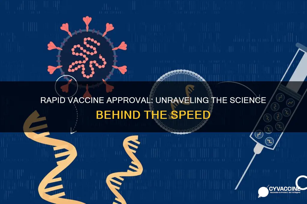 how did they approve the vaccine so quickly
