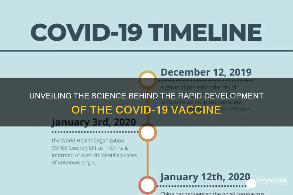 how did they come up with the coronavirus vaccine