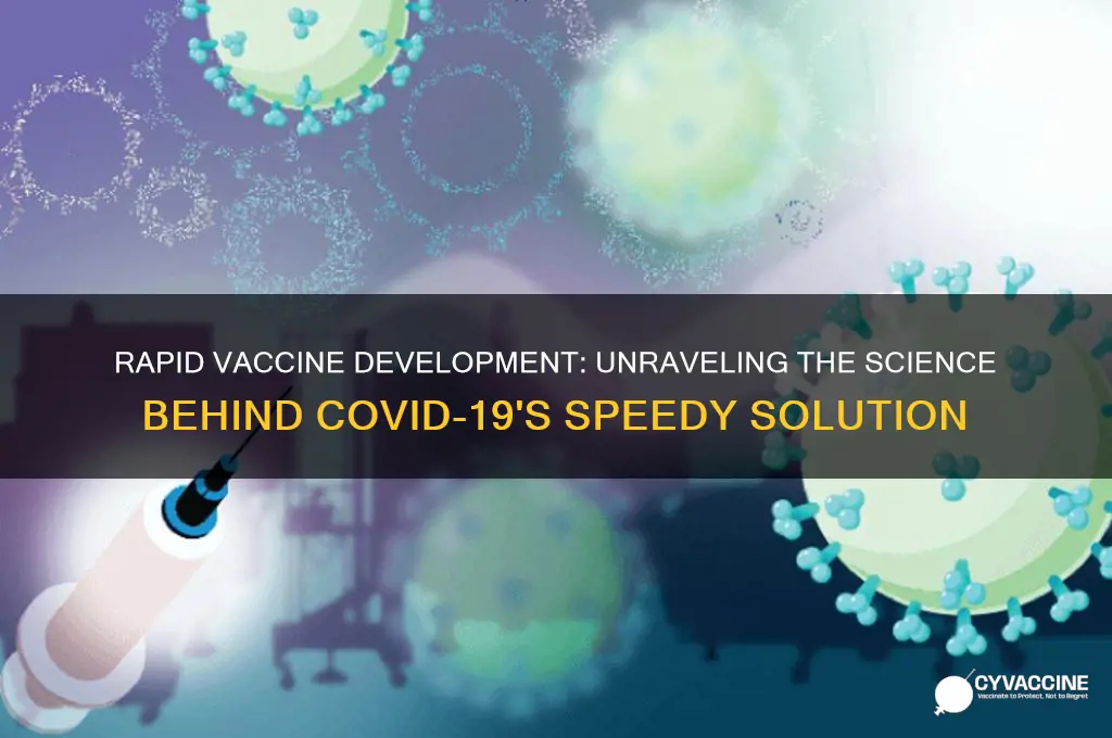 how did they come up with the vaccine so quickly
