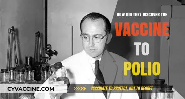 Unraveling the Breakthrough: The Discovery of the Polio Vaccine