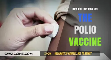 The Polio Vaccine Rollout: A Global Health Triumph Unveiled