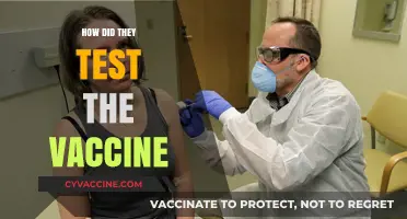 Unveiling the Rigorous Process: How COVID-19 Vaccines Were Tested and Approved