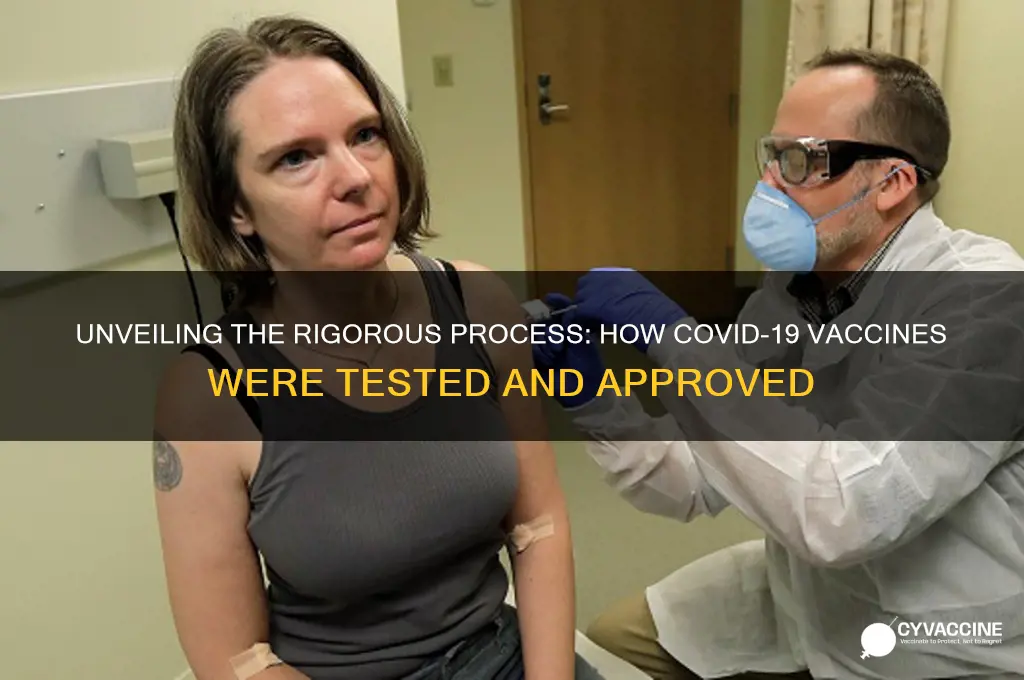 how did they test the vaccine