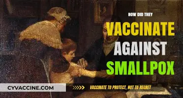 Unraveling the Historic Smallpox Vaccination: Methods, Milestones, and Eradication