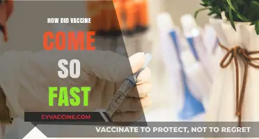 Rapid Vaccine Development: Unraveling the Science Behind COVID-19's Speedy Arrival