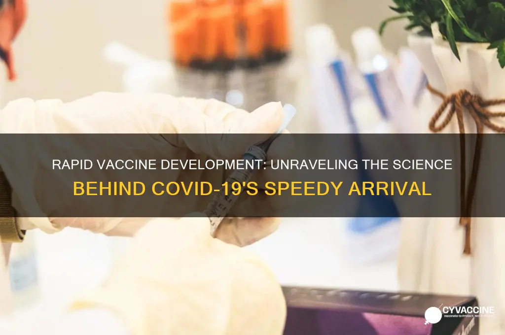 how did vaccine come so fast