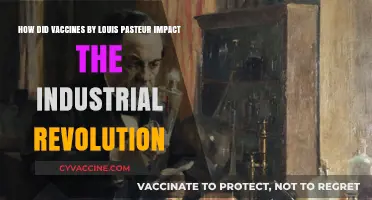 Pasteur's Vaccines: Revolutionizing Health During the Industrial Era