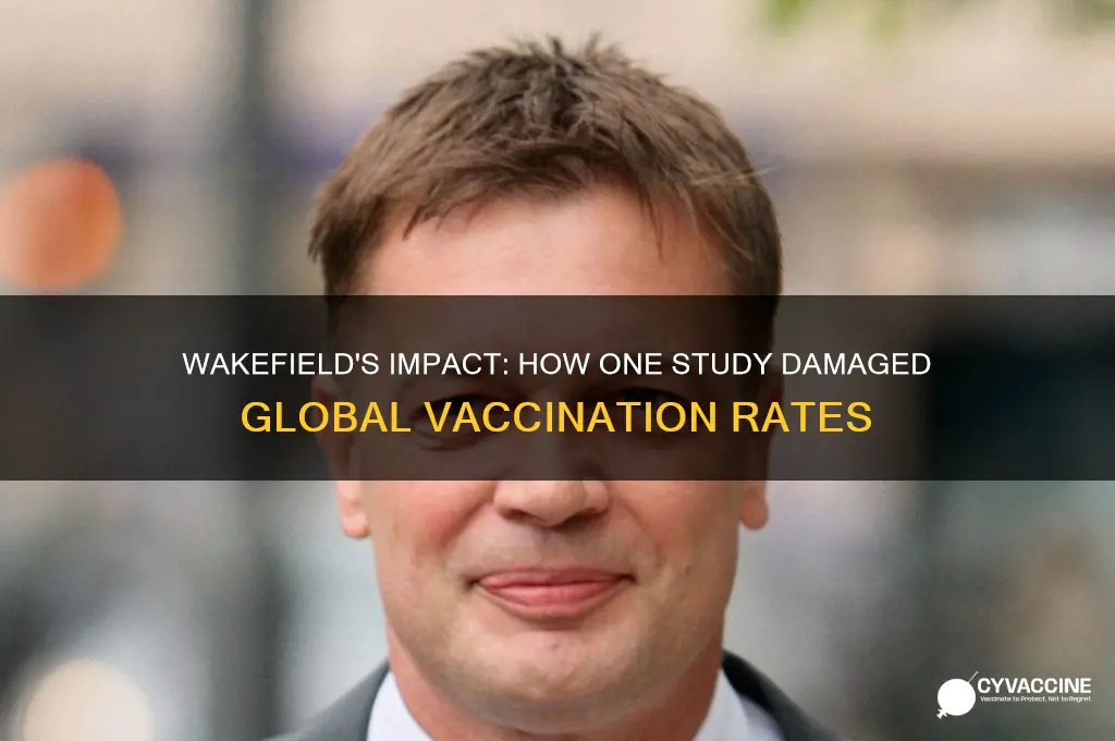 how did wakefield affect vaccination rates