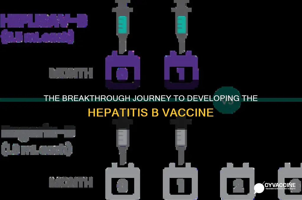 how did we come up with a hepatitis b vaccine
