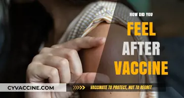 Post-Vaccine Reflections: Emotions, Side Effects, and Peace of Mind