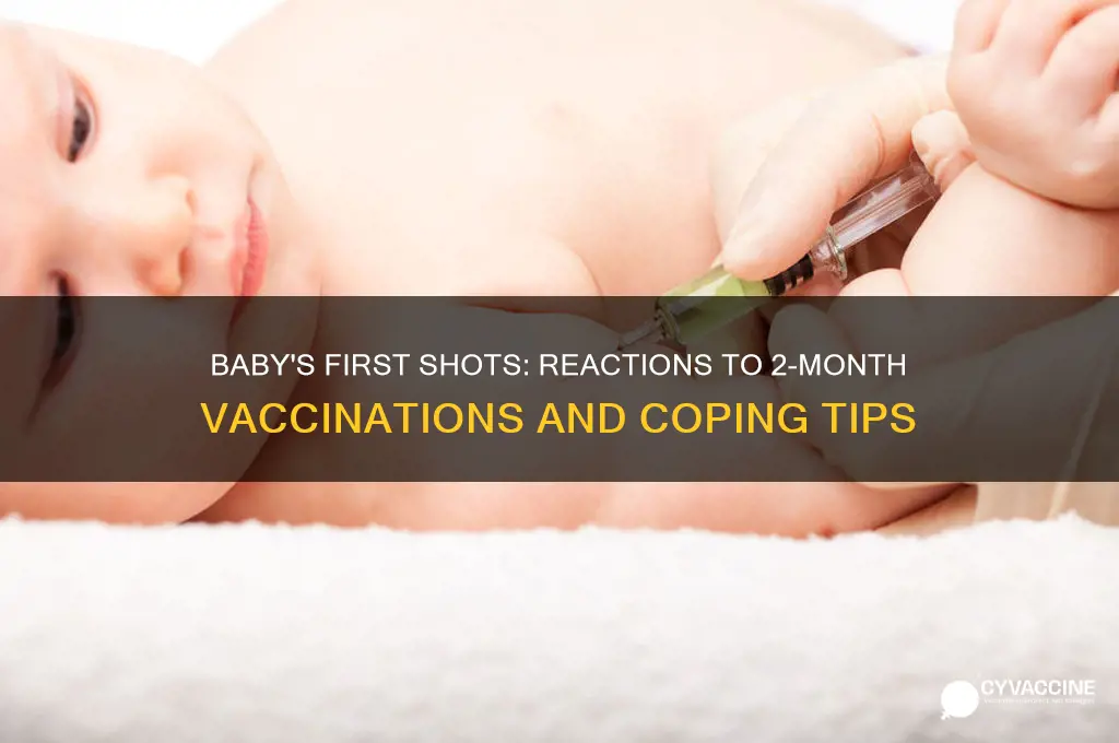 how did your baby react to 2 month vaccinations