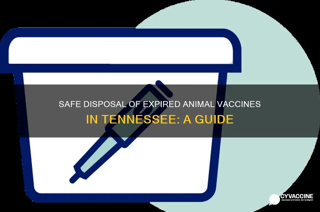 how dispose of expired animal vaccines in tennessee