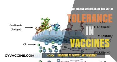 Adjuvants in Vaccines: Reducing Tolerance Risk for Stronger Immunity
