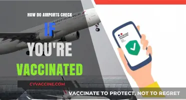 Vaccine Verification at Airports: How Travel Health Checks Work