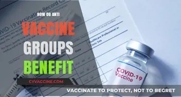 Unraveling the Gains: How Anti-Vaccine Groups Profit from Misinformation