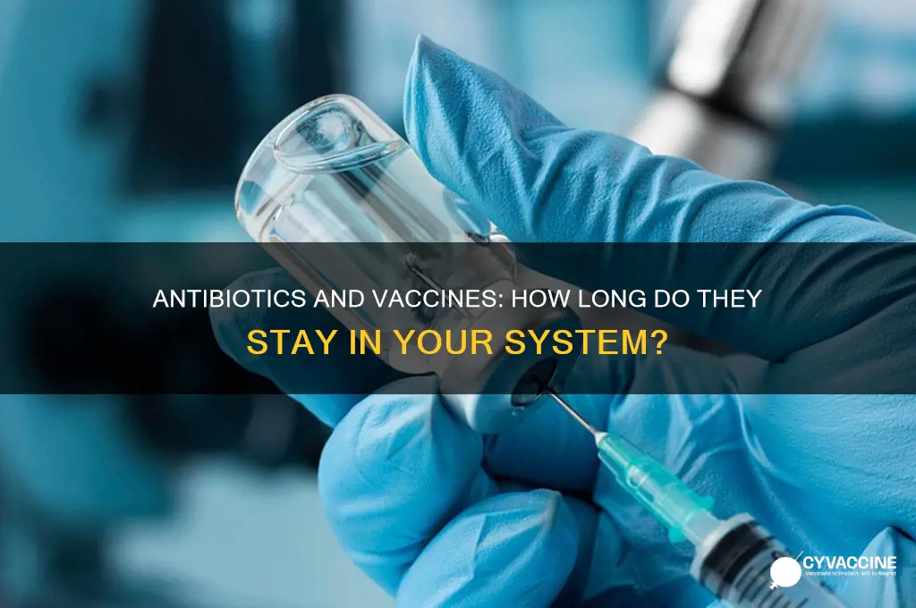 how do antibiotics and vaccinations stay in your system