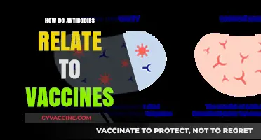 Understanding Antibodies: The Science Behind Vaccines and Immunity
