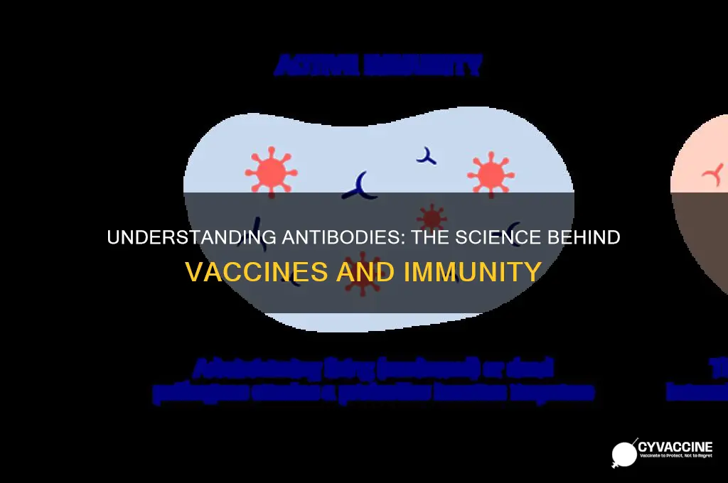 how do antibodies relate to vaccines